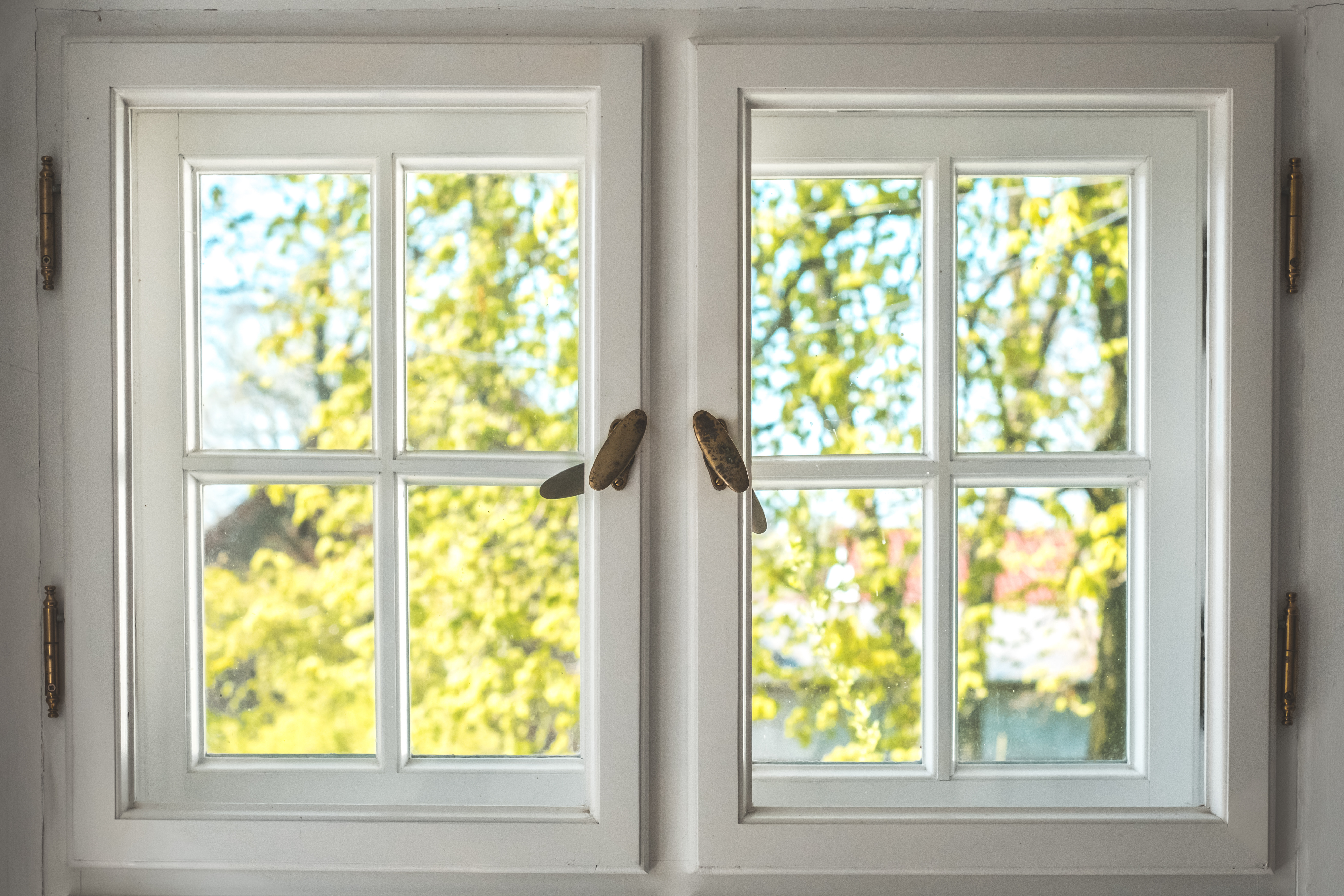 timber windows