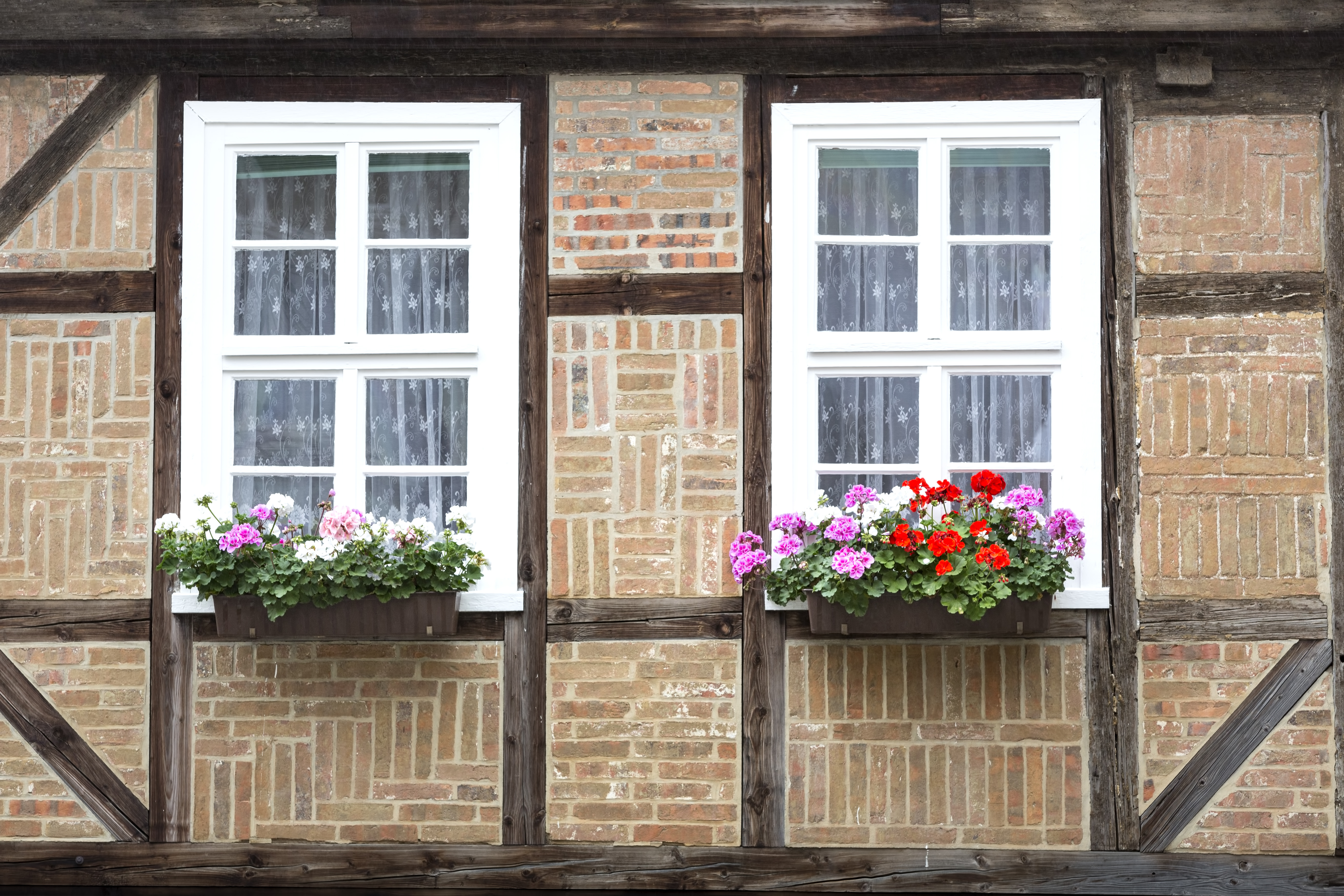 timber sash windows hereford